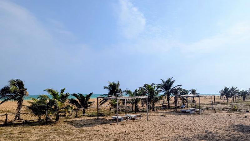 Best Time to Visit Benin Republic: Weather, Events & Travel Insights